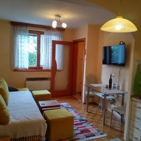 Pine Tree Apartment Sarajevo